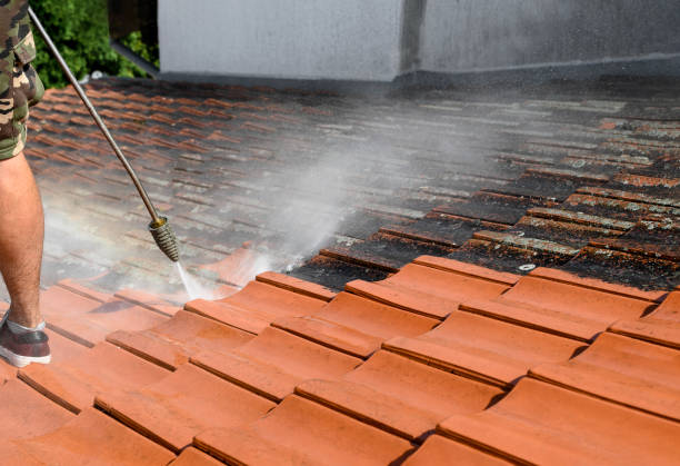 Best Residential Pressure Washing Services  in Salix, PA
